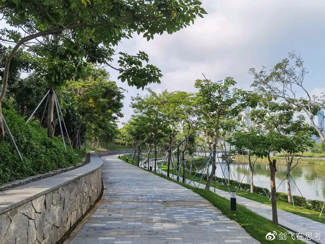 深圳湾公园适合语音写作吗？